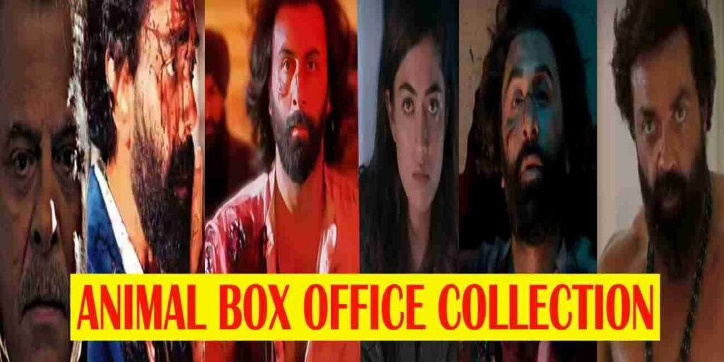 Animal Box Office Collection