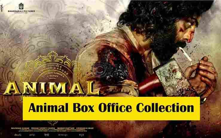 Animal Box Office Collection